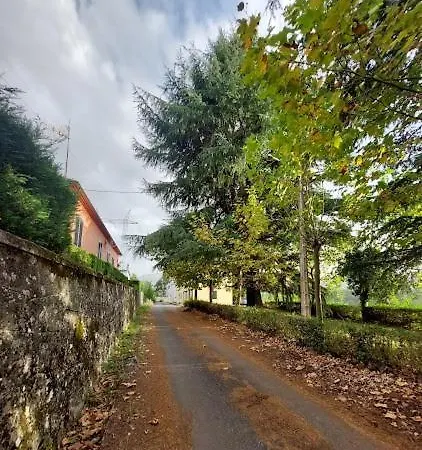 Apartament Fogar Canon Do Sil - En La Ribeira Sacra